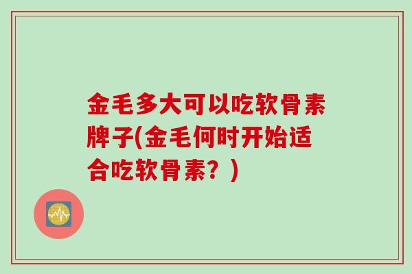 金毛多大可以吃软骨素牌子(金毛何时开始适合吃软骨素？)