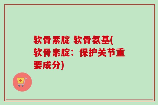 软骨素腚 软骨氨基(软骨素腚：保护关节重要成分)
