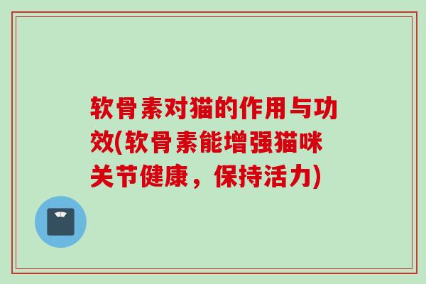 软骨素对猫的作用与功效(软骨素能增强猫咪关节健康，保持活力)