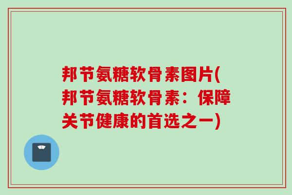 邦节氨糖软骨素图片(邦节氨糖软骨素：保障关节健康的首选之一)