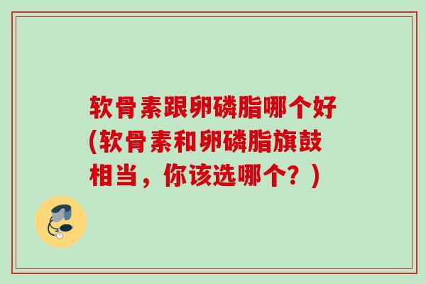 软骨素跟卵磷脂哪个好(软骨素和卵磷脂旗鼓相当，你该选哪个？)