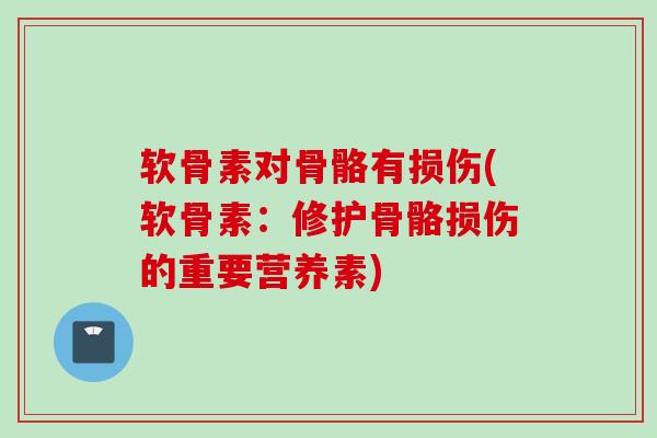 软骨素对骨骼有损伤(软骨素：修护骨骼损伤的重要营养素)
