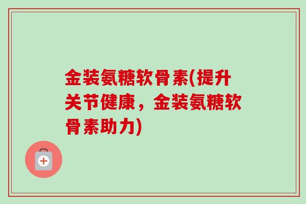 金装氨糖软骨素(提升关节健康，金装氨糖软骨素助力)
