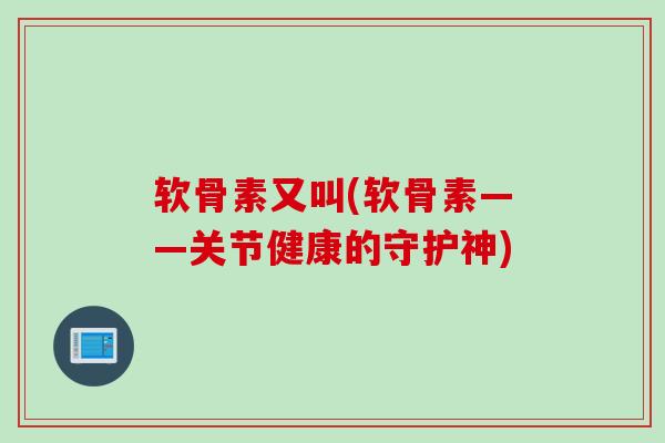 软骨素又叫(软骨素——关节健康的守护神)