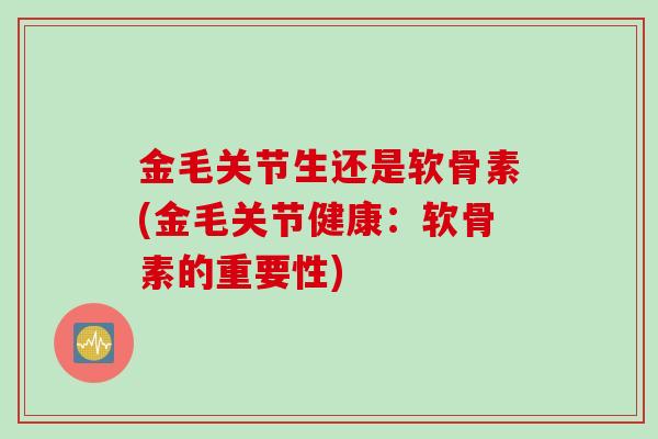 金毛关节生还是软骨素(金毛关节健康：软骨素的重要性)