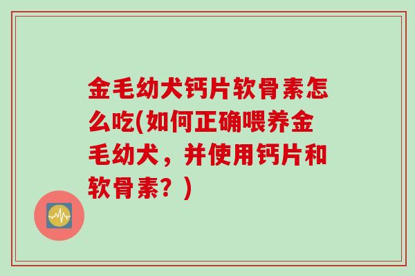金毛幼犬钙片软骨素怎么吃(如何正确喂养金毛幼犬，并使用钙片和软骨素？)