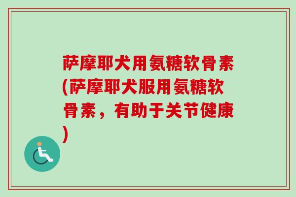 萨摩耶犬用氨糖软骨素(萨摩耶犬服用氨糖软骨素，有助于关节健康)