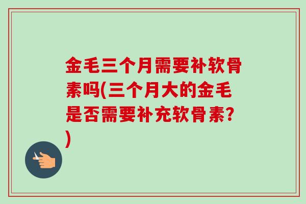 金毛三个月需要补软骨素吗(三个月大的金毛是否需要补充软骨素？)