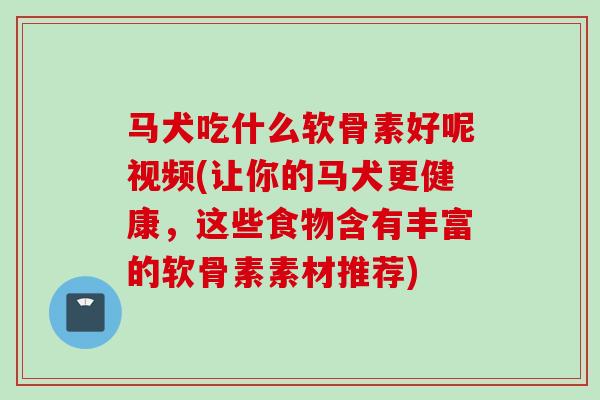 马犬吃什么软骨素好呢视频(让你的马犬更健康，这些食物含有丰富的软骨素素材推荐)