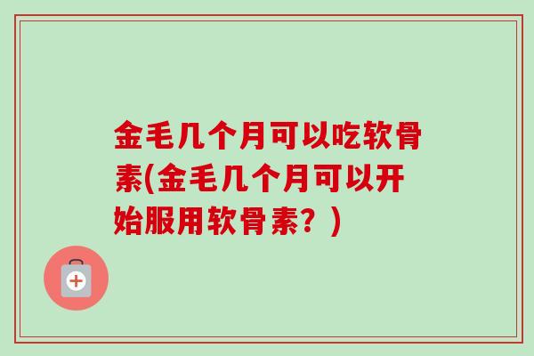 金毛几个月可以吃软骨素(金毛几个月可以开始服用软骨素？)