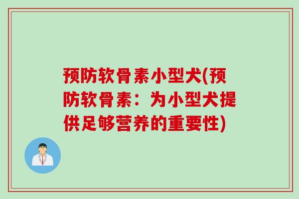 预防软骨素小型犬(预防软骨素：为小型犬提供足够营养的重要性)