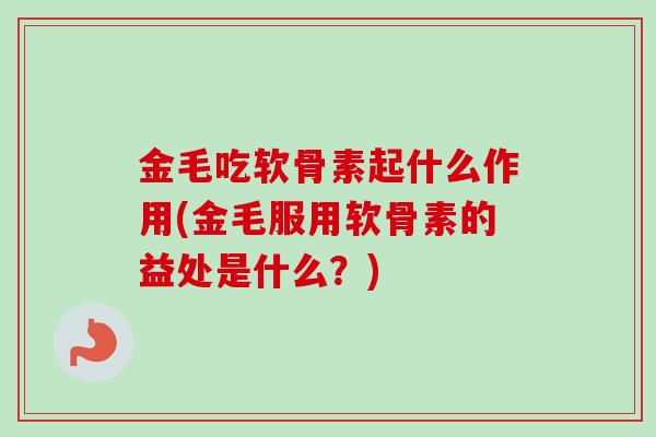 金毛吃软骨素起什么作用(金毛服用软骨素的益处是什么？)
