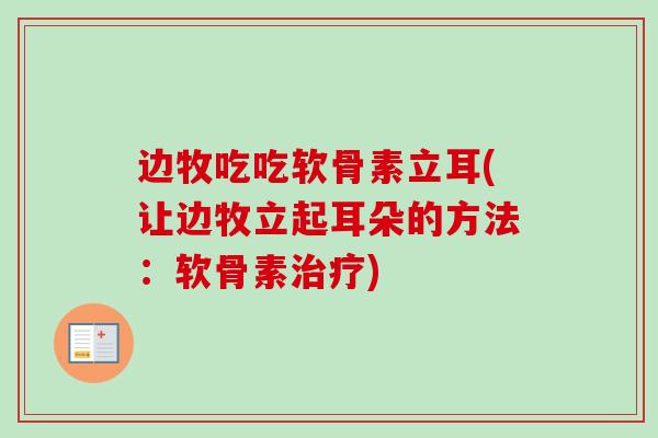 边牧吃吃软骨素立耳(让边牧立起耳朵的方法：软骨素治疗)