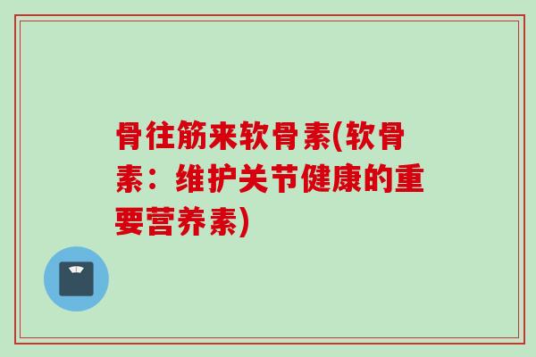 骨往筋来软骨素(软骨素：维护关节健康的重要营养素)