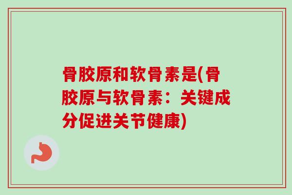 骨胶原和软骨素是(骨胶原与软骨素：关键成分促进关节健康)
