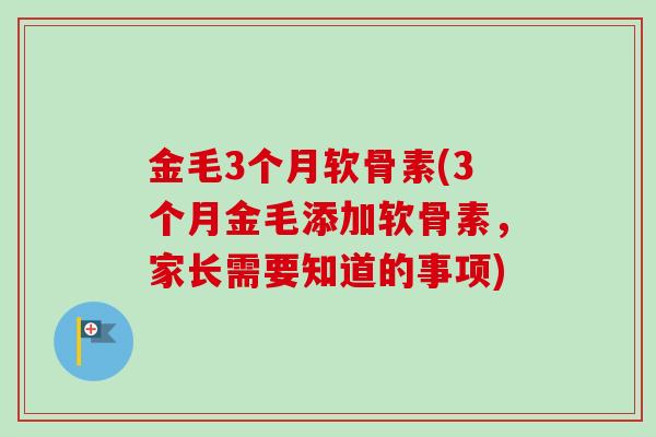 金毛3个月软骨素(3个月金毛添加软骨素，家长需要知道的事项)
