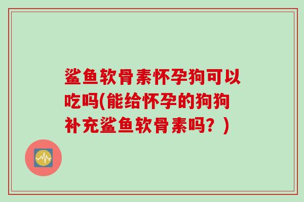 鲨鱼软骨素怀孕狗可以吃吗(能给怀孕的狗狗补充鲨鱼软骨素吗？)