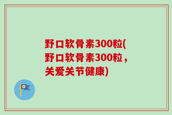 野口软骨素300粒(野口软骨素300粒，关爱关节健康)