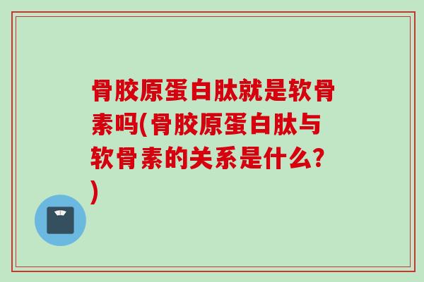 骨胶原蛋白肽就是软骨素吗(骨胶原蛋白肽与软骨素的关系是什么？)