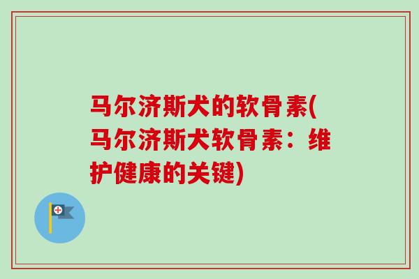 马尔济斯犬的软骨素(马尔济斯犬软骨素：维护健康的关键)