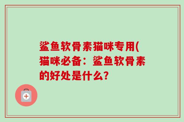 鲨鱼软骨素猫咪专用(猫咪必备：鲨鱼软骨素的好处是什么？