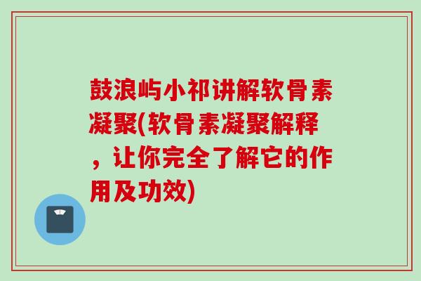 鼓浪屿小祁讲解软骨素凝聚(软骨素凝聚解释，让你完全了解它的作用及功效)