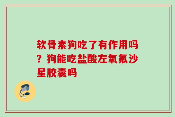 软骨素狗吃了有作用吗？狗能吃盐酸左氧氟沙星胶囊吗