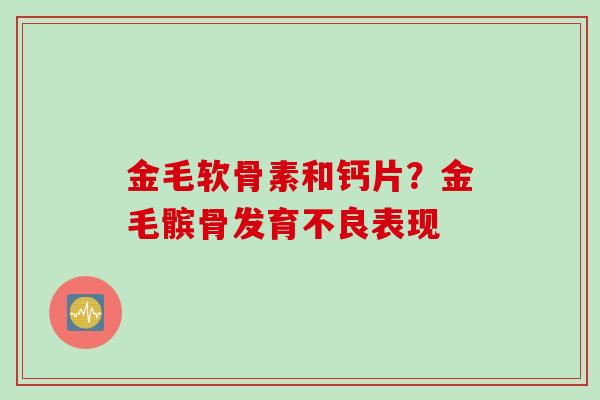 金毛软骨素和钙片？金毛髌骨发育不良表现