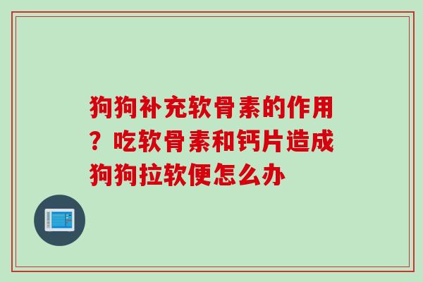 狗狗补充软骨素的作用？吃软骨素和钙片造成狗狗拉软便怎么办