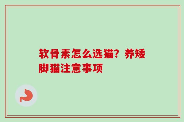 软骨素怎么选猫？养矮脚猫注意事项