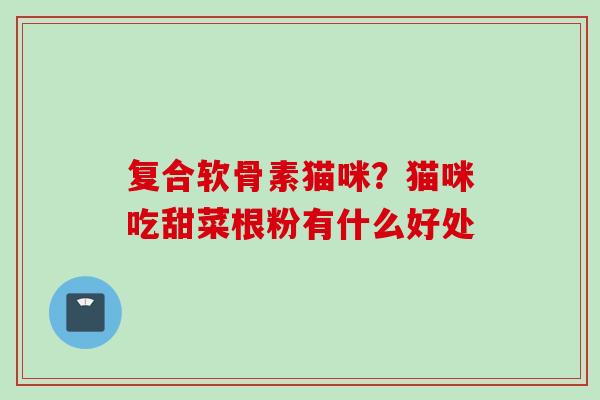 复合软骨素猫咪？猫咪吃甜菜根粉有什么好处