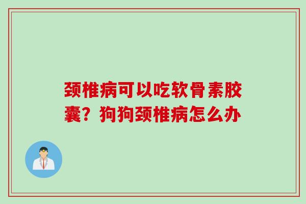 颈椎病可以吃软骨素胶囊？狗狗颈椎病怎么办