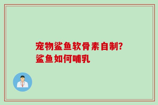 宠物鲨鱼软骨素自制？鲨鱼如何哺乳