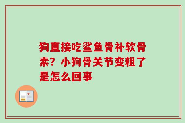 狗直接吃鲨鱼骨补软骨素？小狗骨关节变粗了是怎么回事