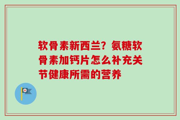 软骨素新西兰？氨糖软骨素加钙片怎么补充关节健康所需的营养