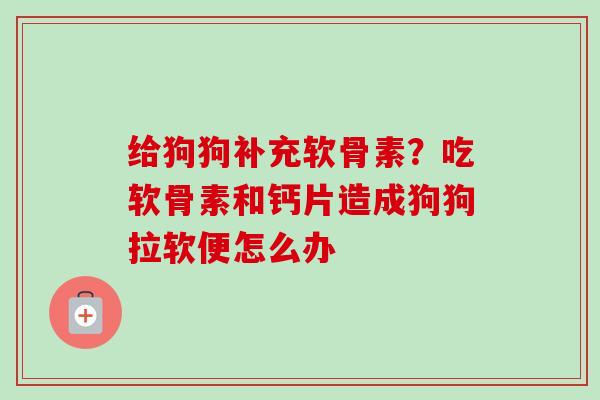 给狗狗补充软骨素？吃软骨素和钙片造成狗狗拉软便怎么办