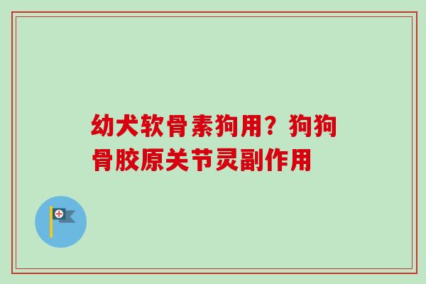 幼犬软骨素狗用？狗狗骨胶原关节灵副作用