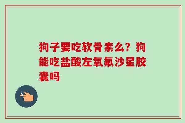 狗子要吃软骨素么？狗能吃盐酸左氧氟沙星胶囊吗