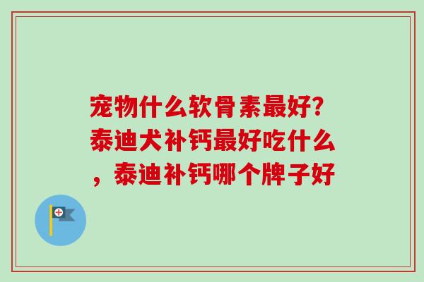 宠物什么软骨素最好？泰迪犬补钙最好吃什么，泰迪补钙哪个牌子好