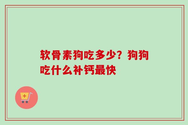软骨素狗吃多少？狗狗吃什么补钙最快