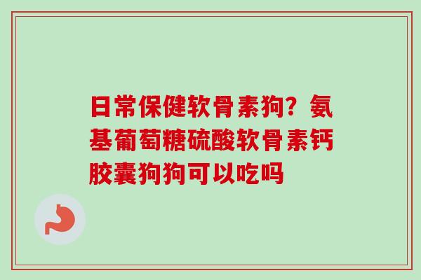 日常保健软骨素狗？氨基葡萄糖硫酸软骨素钙胶囊狗狗可以吃吗