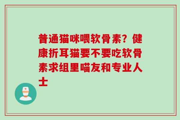 普通猫咪喂软骨素？健康折耳猫要不要吃软骨素求组里喵友和专业人士