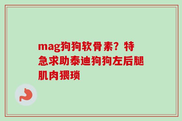 mag狗狗软骨素？特急求助泰迪狗狗左后腿肌肉猥琐