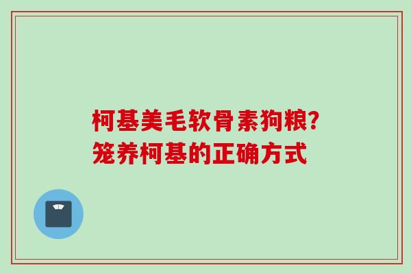 柯基美毛软骨素狗粮？笼养柯基的正确方式