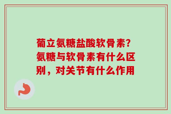葡立氨糖盐酸软骨素？氨糖与软骨素有什么区别，对关节有什么作用
