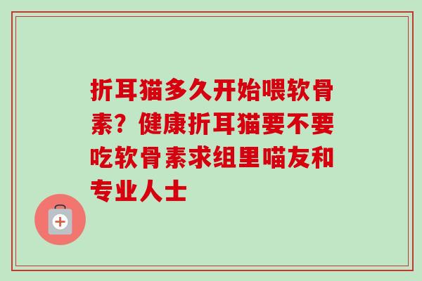 折耳猫多久开始喂软骨素？健康折耳猫要不要吃软骨素求组里喵友和专业人士