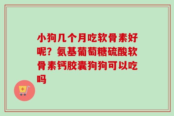 小狗几个月吃软骨素好呢？氨基葡萄糖硫酸软骨素钙胶囊狗狗可以吃吗