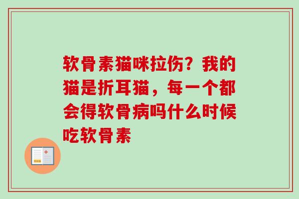 软骨素猫咪拉伤？我的猫是折耳猫，每一个都会得软骨病吗什么时候吃软骨素