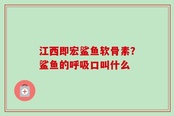 江西即宏鲨鱼软骨素？鲨鱼的呼吸口叫什么