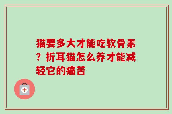 猫要多大才能吃软骨素？折耳猫怎么养才能减轻它的痛苦
